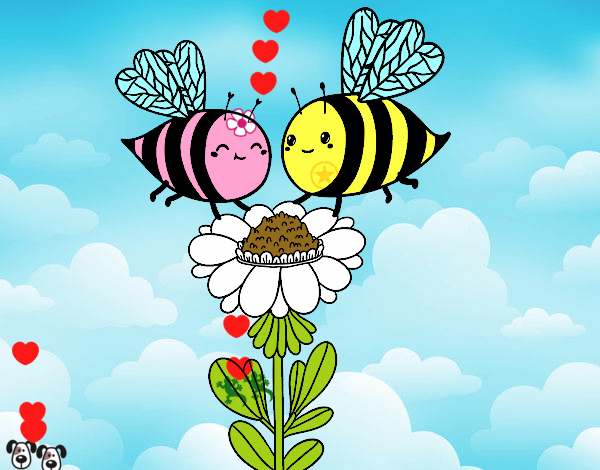 Pareja de abejas