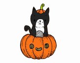 Un gatito de Halloween