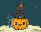 Un gatito de Halloween