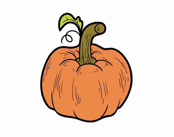 Una calabaza cucurbita