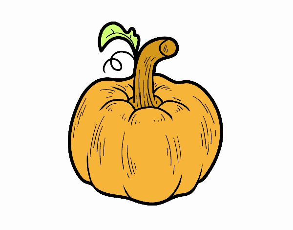 Una calabaza cucurbita