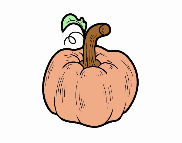 Una calabaza cucurbita