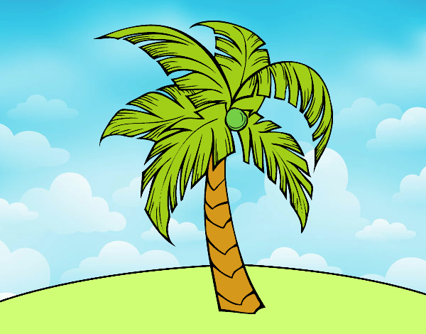 Una palmera