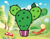 Cactus nopal