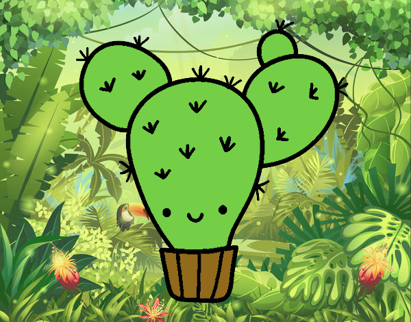 cactus