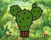 Cactus nopal