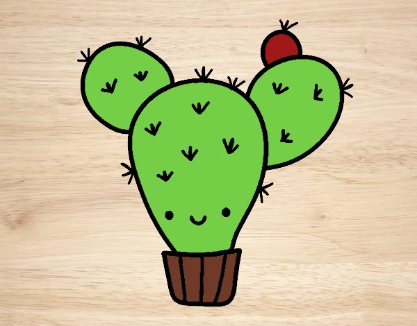 Cactus nopal