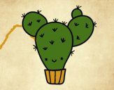 Cactus nopal