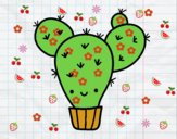 Cactus nopal