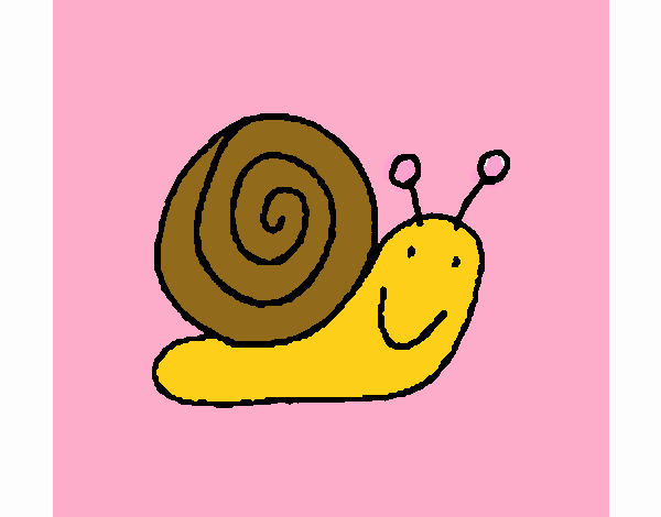 Caracol 4