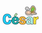 César