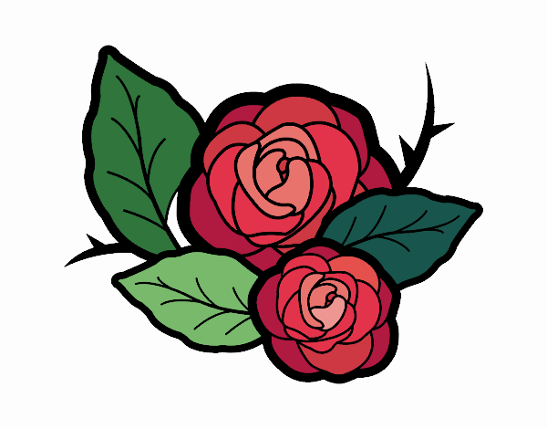 Dos rosas