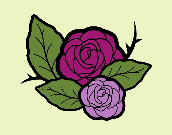 Dos rosas