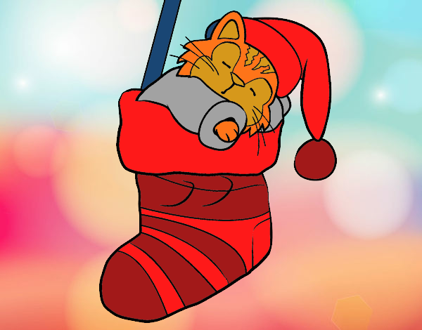 Gatito durmiendo en un calcetín de Navidad