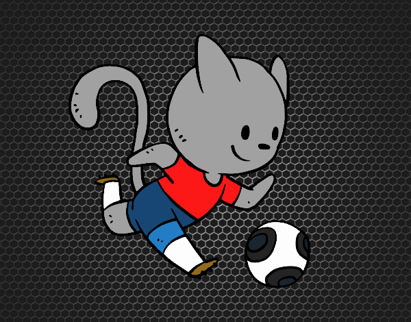 Gato jugando a fútbol