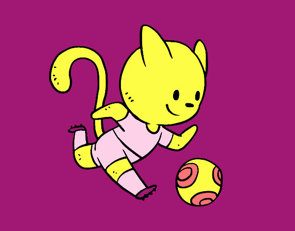 Gato jugando a fútbol