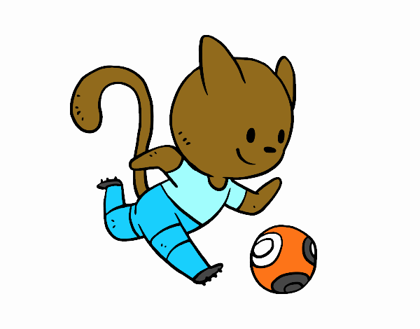 Gato jugando a fútbol