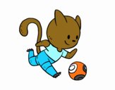 Gato jugando a fútbol