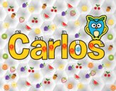 Nombre Carlos