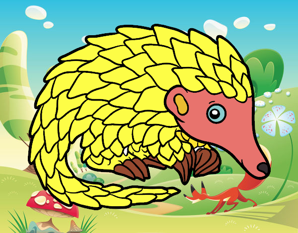 Pangolin