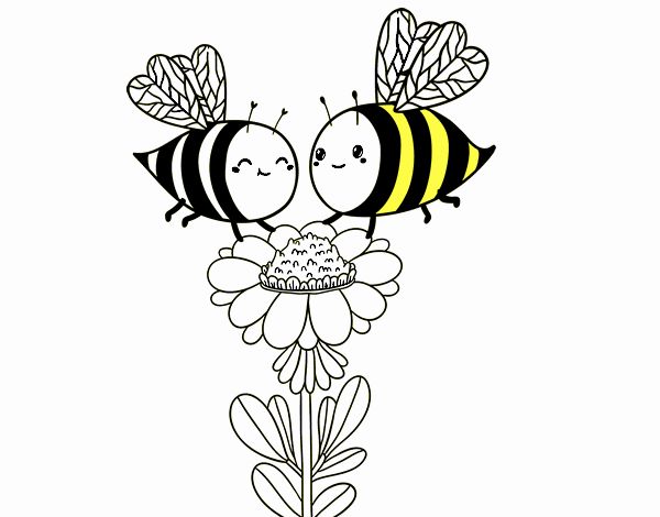 Pareja de abejas