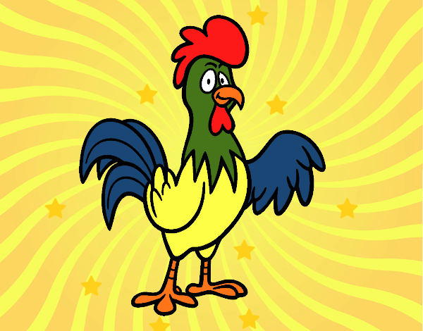 Un gallo de corral