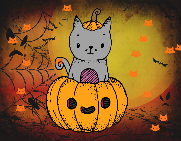 Un gatito de Halloween