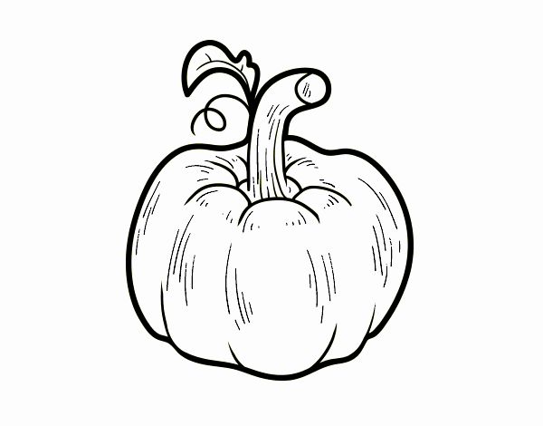 Una calabaza cucurbita