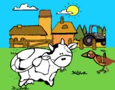 Vaca en la granja