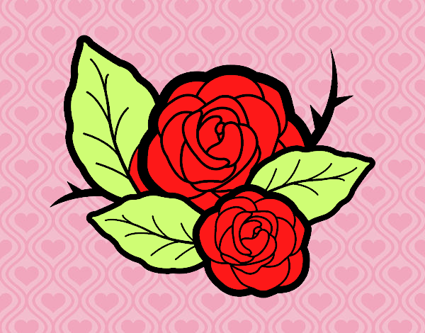 Dos rosas