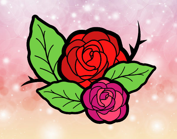 Dos rosas