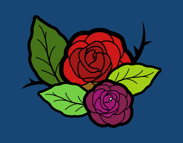 Dos rosas