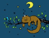 El gato y la luna