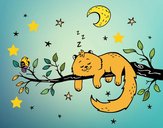 El gato y la luna