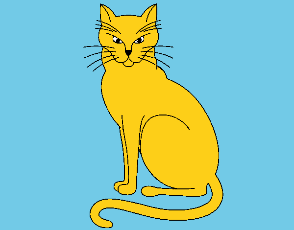 Felino