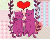 Gatitos enamorados