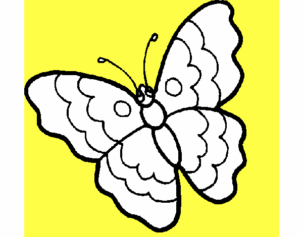 Mariposa 13