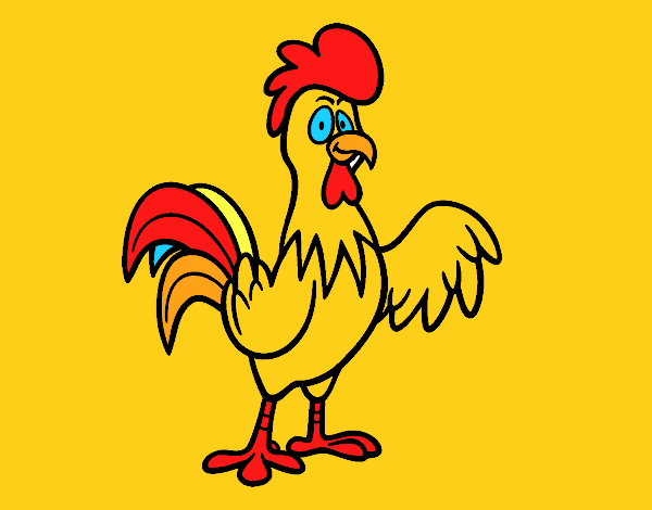 Un gallo de corral