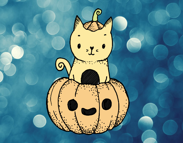 Un gatito de Halloween