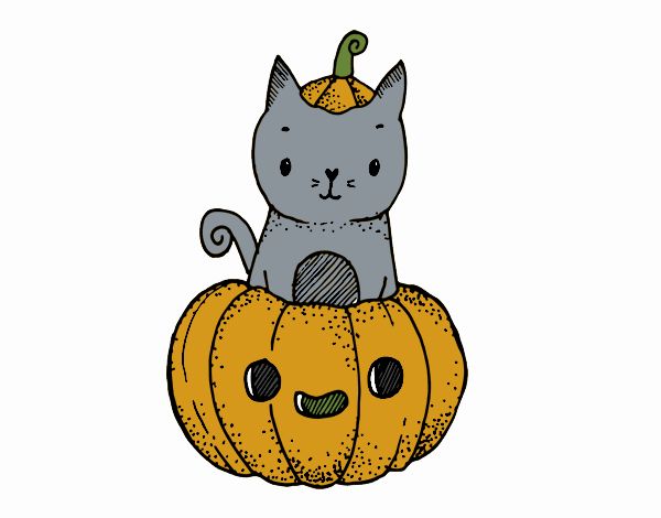 Un gatito de Halloween