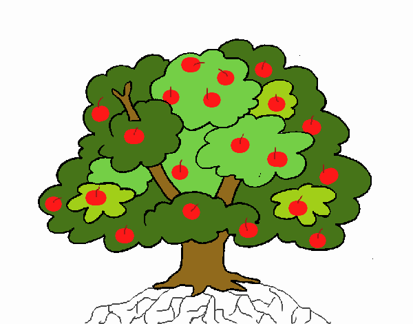 Árbol