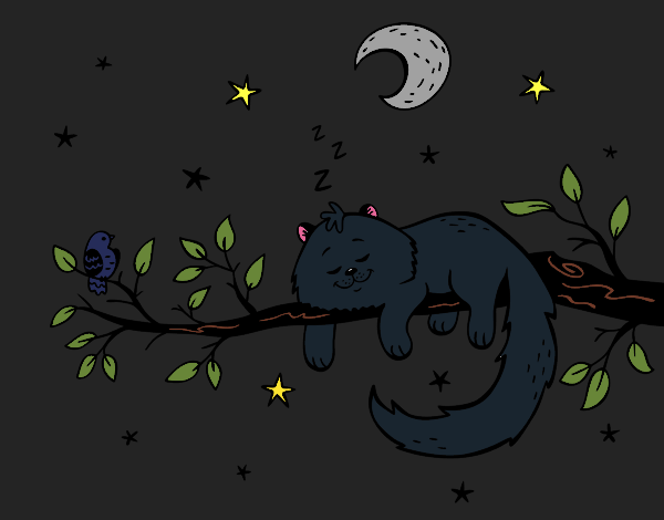 El gato y la luna