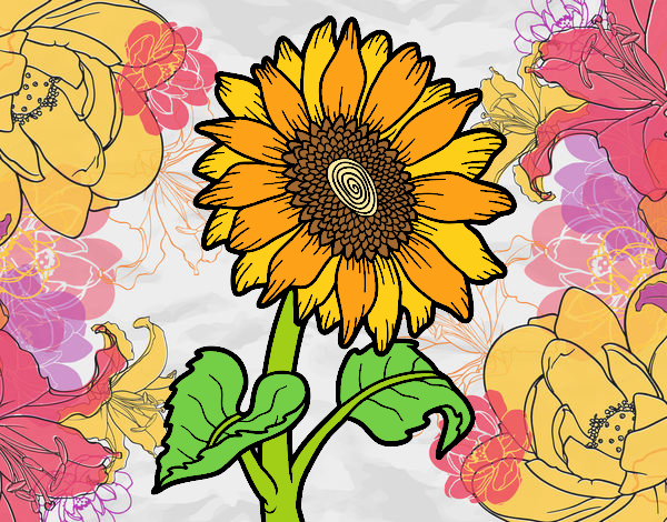 Flor de girasol