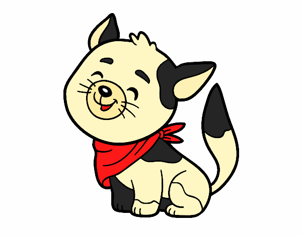 Gato con bandana