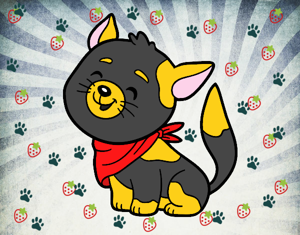 Gato con bandana