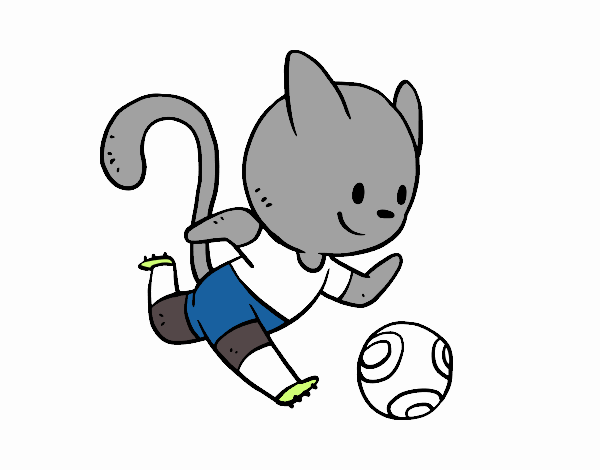 Michi jugando Futbol 