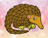 Pangolin