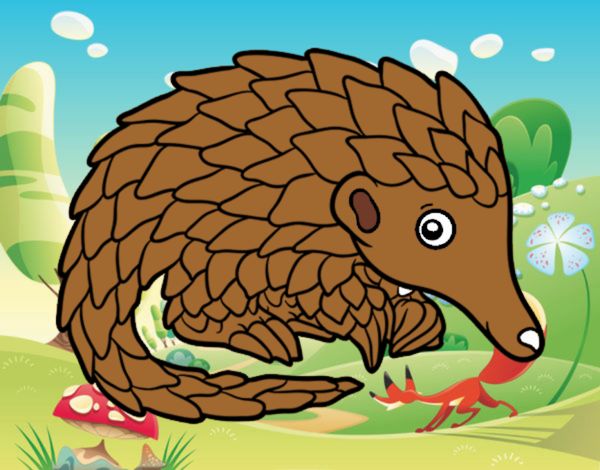 Pangolin