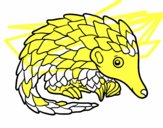 Pangolin