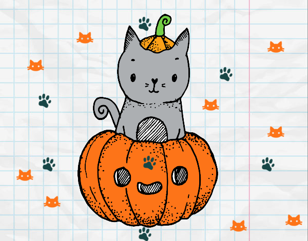 Un gatito de Halloween